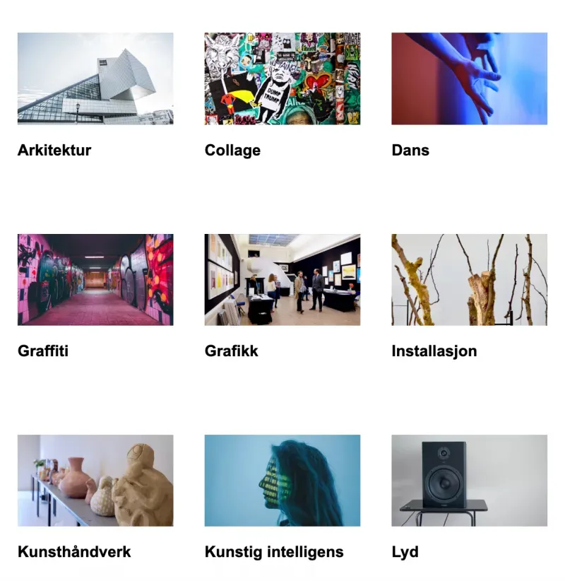 Utvalg av kunstkategorier på kunzt.no: arkitektur, collage, dans, graffiti, grafikk, installasjon, kunsthåndverk, kunstig intelligens og lyd